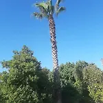 Saelyento شقة *
