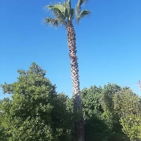 Saelyento Appartement *