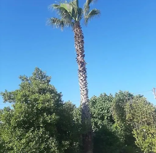 Saelyento דירה *